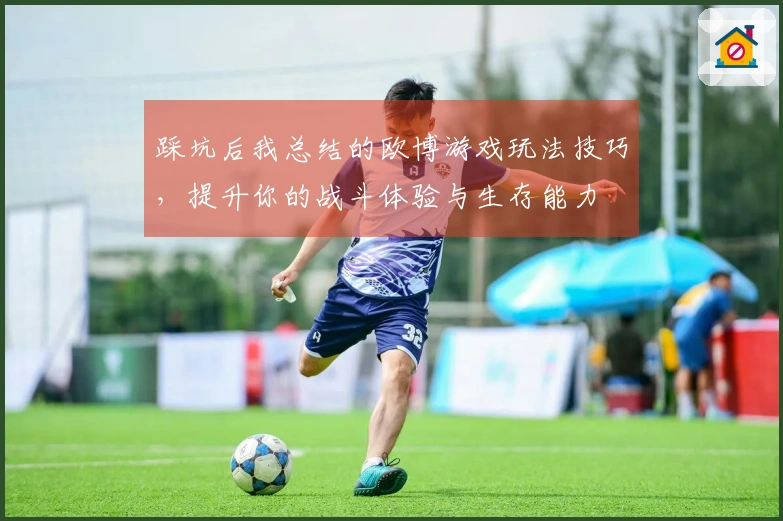 踩坑后我总结的欧博游戏玩法技巧，提升你的战斗体验与生存能力